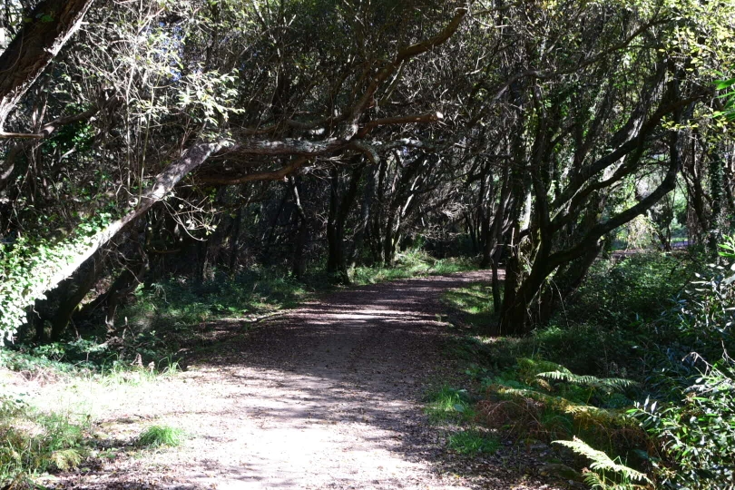 Portugal - fühlt sich erst einmal wie ein Radfahrerparadies an