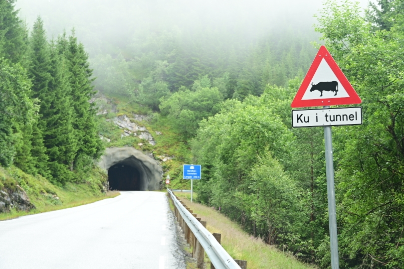 Manchmal aber auch Radfahrer