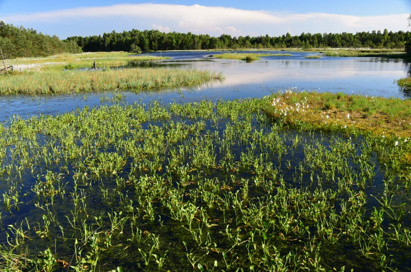 Auf der einen Seite die Sanddüne, auf der anderen wunderschöne Moore