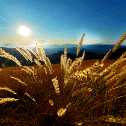 Gardez le summer spirit toute l’année