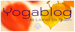 Yoga avec Lionel Le Guen à Marseille Blog
