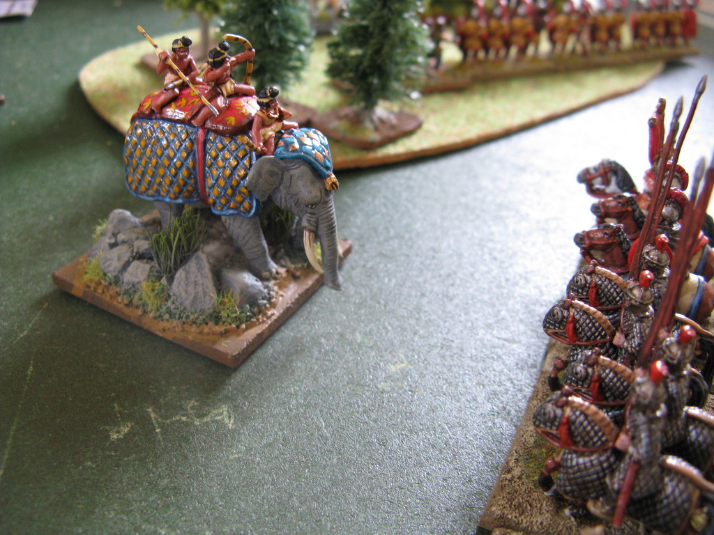 Elefanti in carica e.....