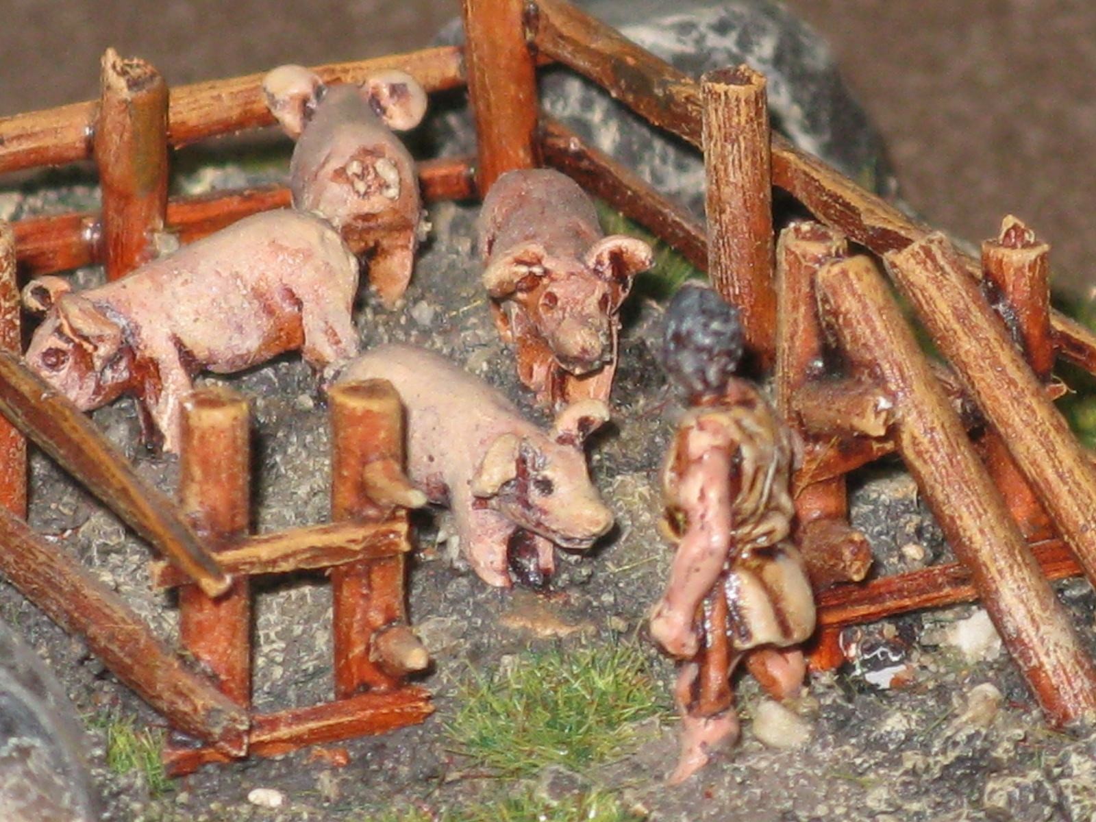 Campo porcellino.....