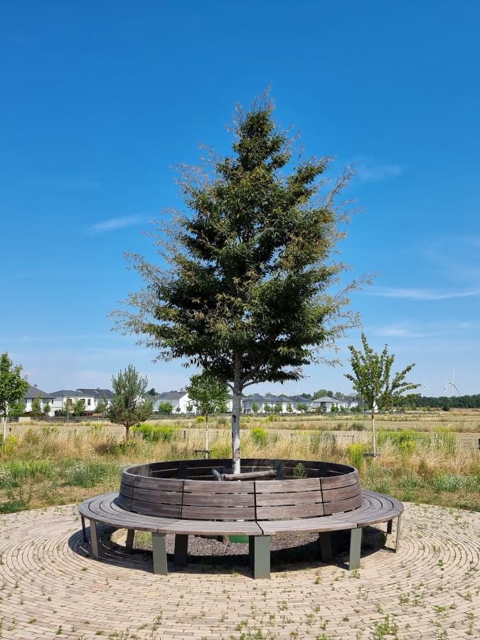 Rousseau-Park Ludwigsfelde