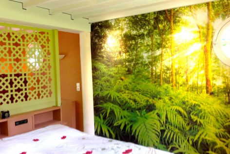 La végétation dans une chambre.