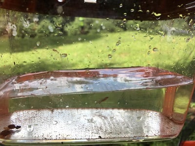 鹿沼市　いたが　せせらぎプール　リバーサイドランド　板荷