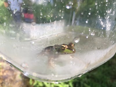 鹿沼市　いたが　せせらぎプール　リバーサイドランド　板荷