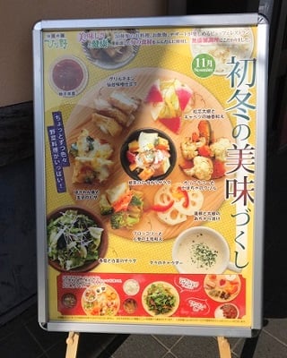 ひな野　ビュッフェ　宇都宮　栃木県　ランチ