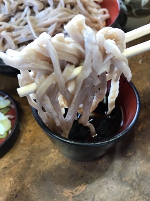 鹿沼　蕎麦　そば　ランチ　南本陣