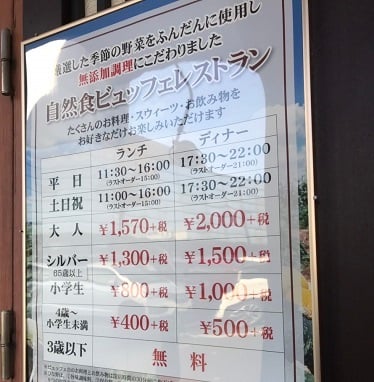 ひな野　ビュッフェ　宇都宮　栃木県　ランチ