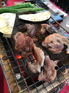 会津　東山温泉　原瀧　福島県　川どこ