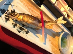 会津　東山温泉　原瀧　福島県　川どこ