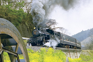 道の駅　バウムクーヘン　バウム工房　ゆずの木