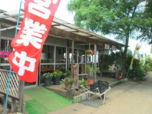 とうもろこし　トウモロコシ　スマイルベジタブル和久井　鹿沼　東京インテリア　東京デザインセンター　インテリア専門ショールーム　家具　雑貨　栃木県