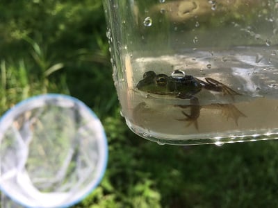 鹿沼市　いたが　せせらぎプール　リバーサイドランド　板荷