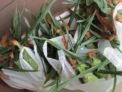 スマイルベジタブル和久井/トウモロコシ/野菜ソムリエ/東京インテリア/東京デザインセンター/家具/栃木県鹿沼市