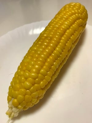 とうもろこし　トウモロコシ　スマイルベジタブル和久井　鹿沼　東京インテリア　東京デザインセンター　インテリア専門ショールーム　家具　雑貨　栃木県