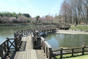 東京インテリアデザインセンター/家具/インテリア/栃木県鹿沼市/桜/公園