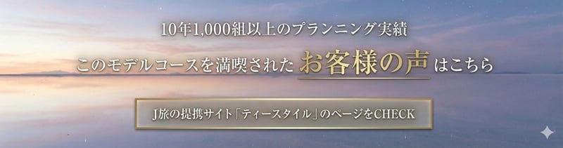 ボリビア・ウユニ湖新婚旅行　お客様の声