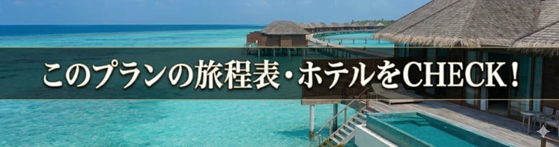 スリランカ＆モルディブプランへ
