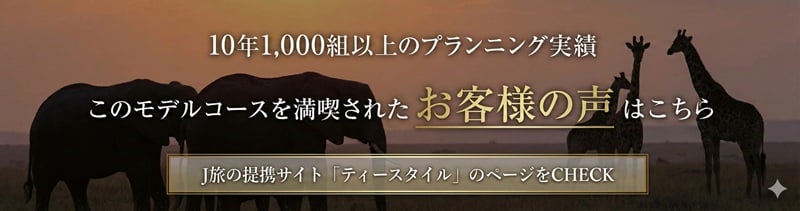 タンザニア新婚旅行　お客様の声