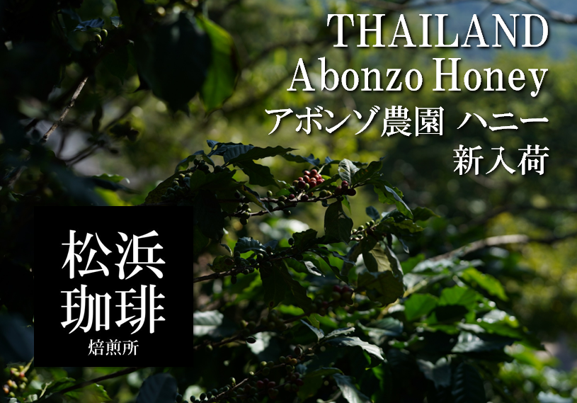 Abonzo農園ハニー入荷。