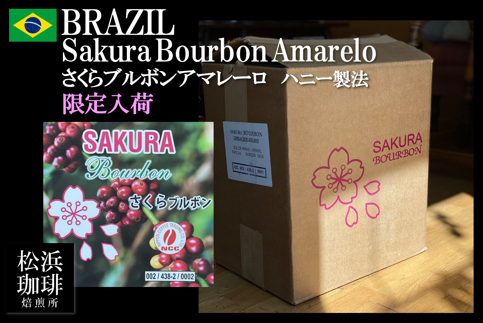 春が来ました｡さくらブルボンアマレーロ限定入荷です｡