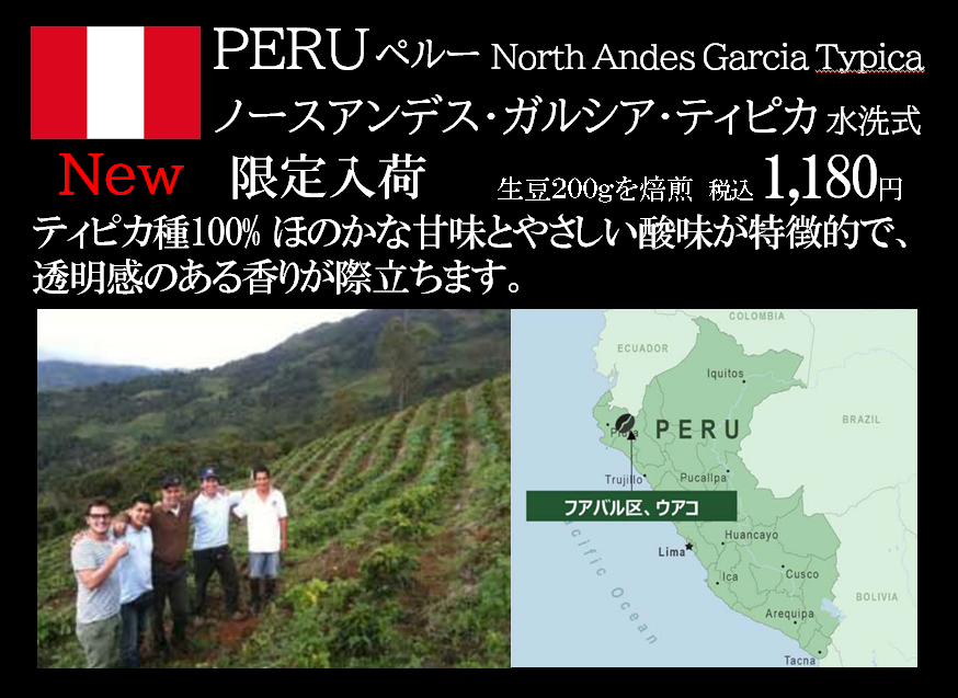 ペルー/ノースアンデス･ガルシア･ティピカ限定入荷