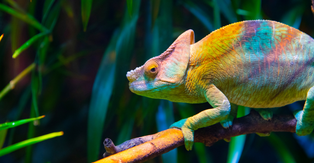 Der Unterschied zwischen echter Freundlichkeit und People Pleasing