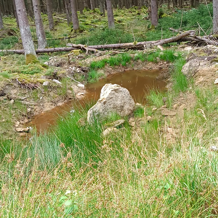 Foto: Ramona Schröppel