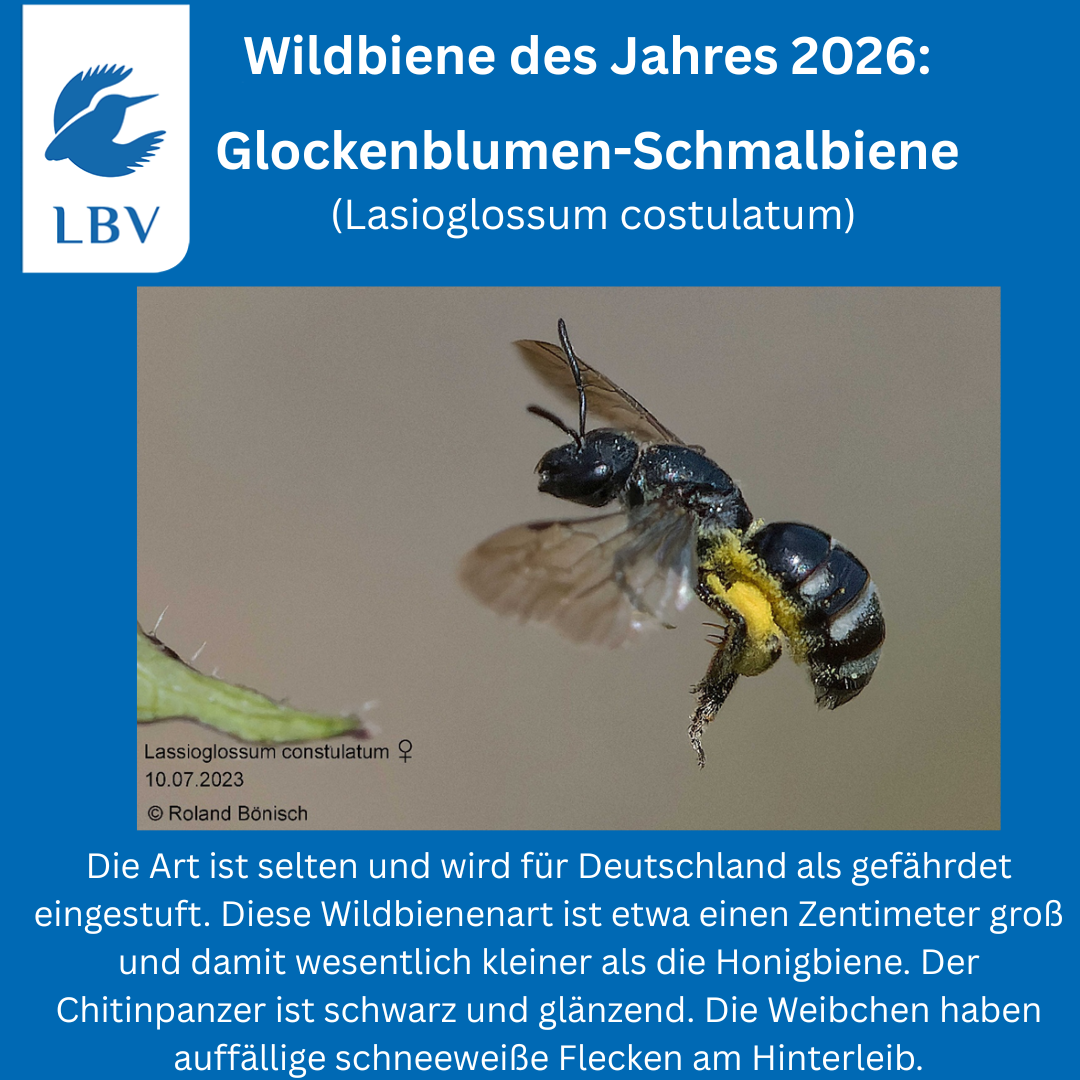 Foto und Text Roland Bönisch