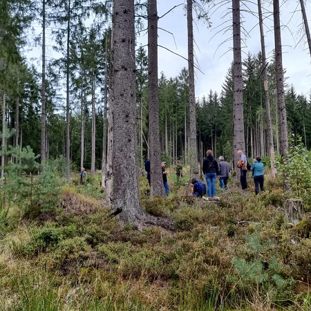 Besichtigung der renaturierten Moorflächen Foto: Ramona Schröppel