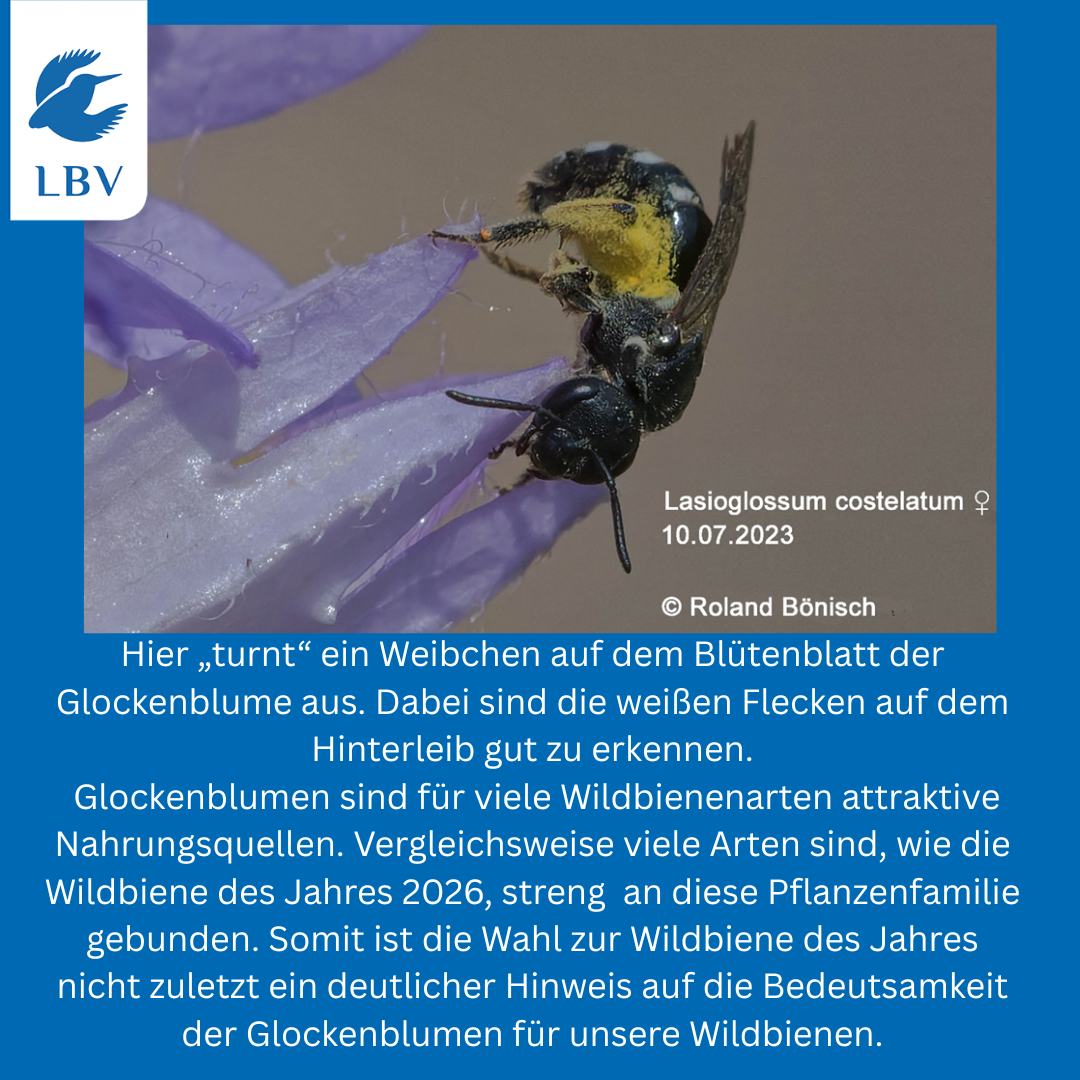 Foto und Text Roland Bönisch