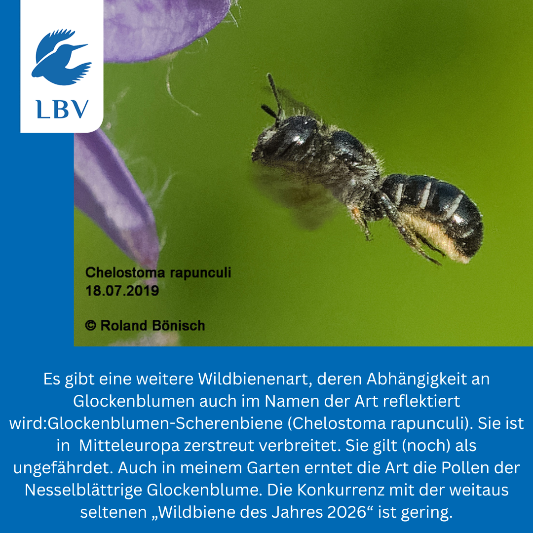 Foto und Text Roland Bönisch