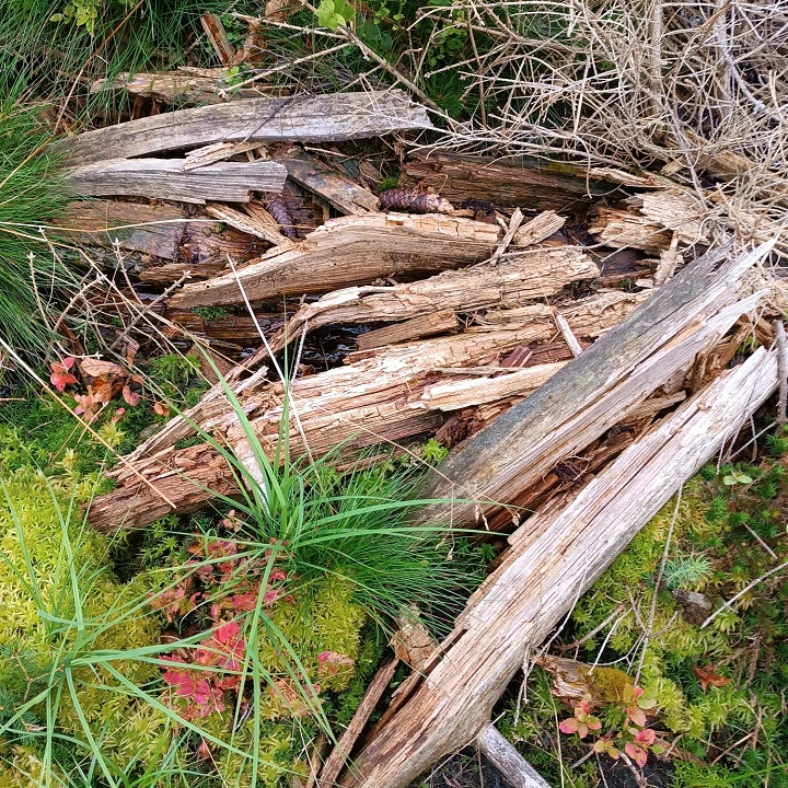 Foto: Ramona Schröppel