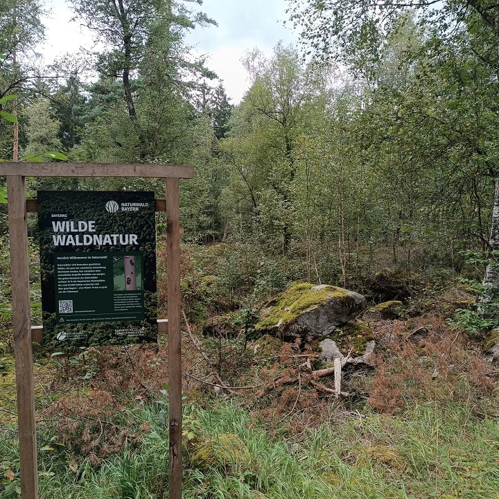 Infoschild des Naturwaldreservates Foto: Ramona Schröppel