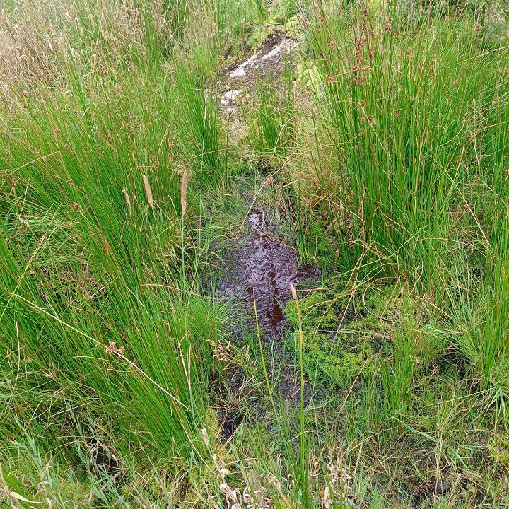 Foto: Ramona Schröppel