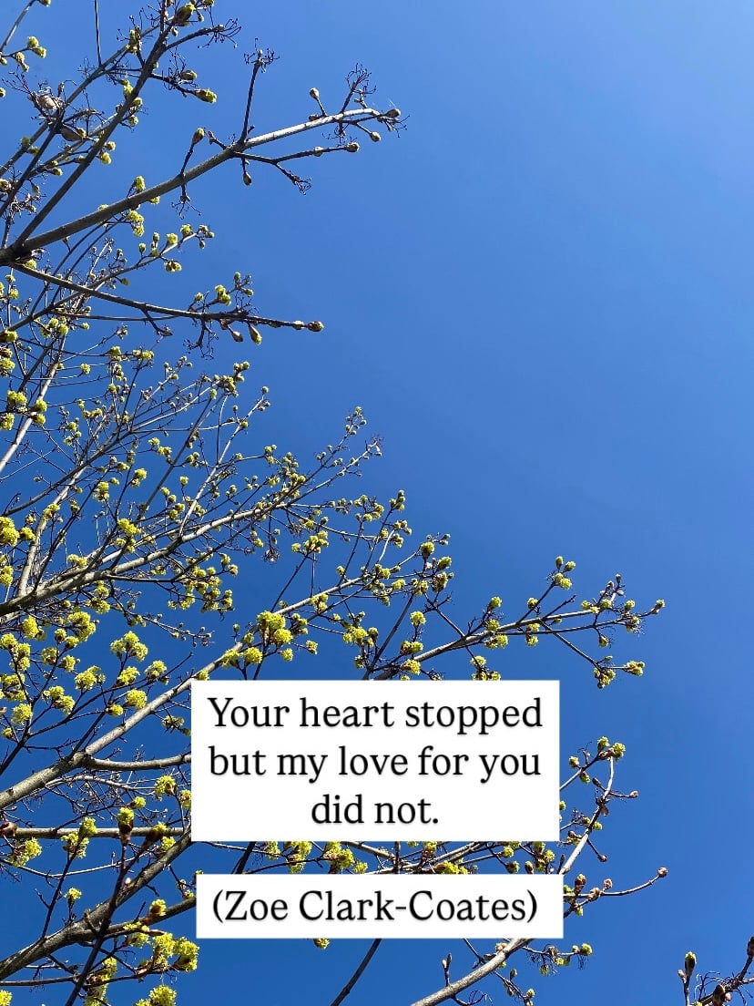 Pregnancy loss - English Information