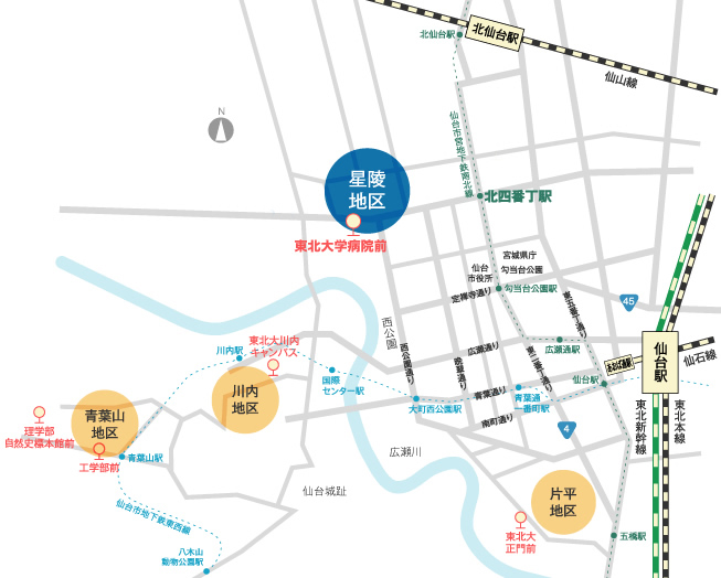 東北大学器官解剖学　アクセス