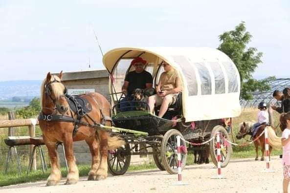 Escapade nature à la ferme du Vermois