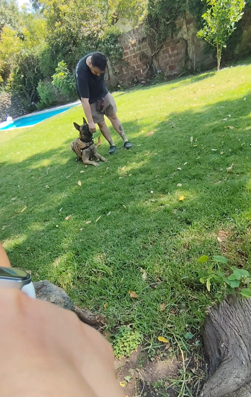 Trabajo de casos de agresión a extrañ@s