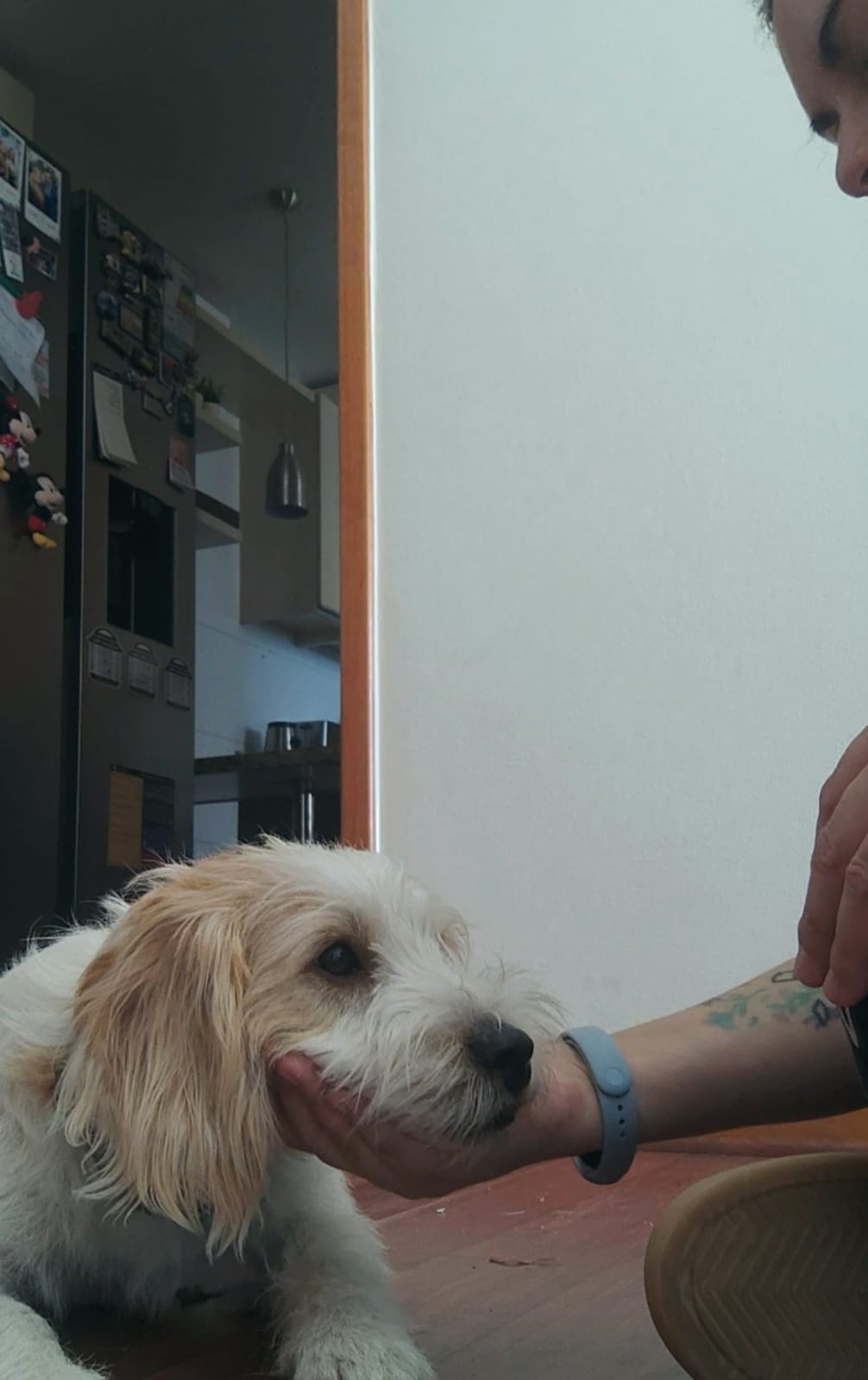 "Chin rest" para manejos cooperativos