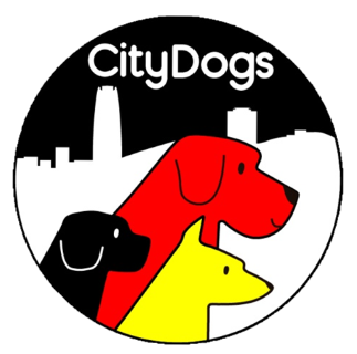 CityDogs - Entrenamiento & Conducta Animal