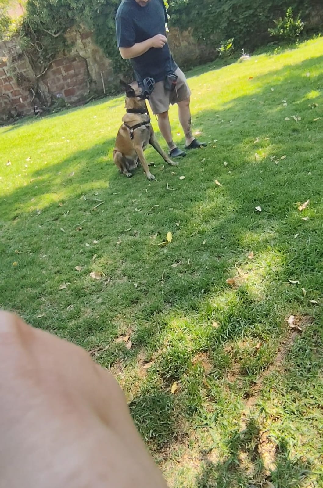 Trabajo de casos de agresión a extrañ@s