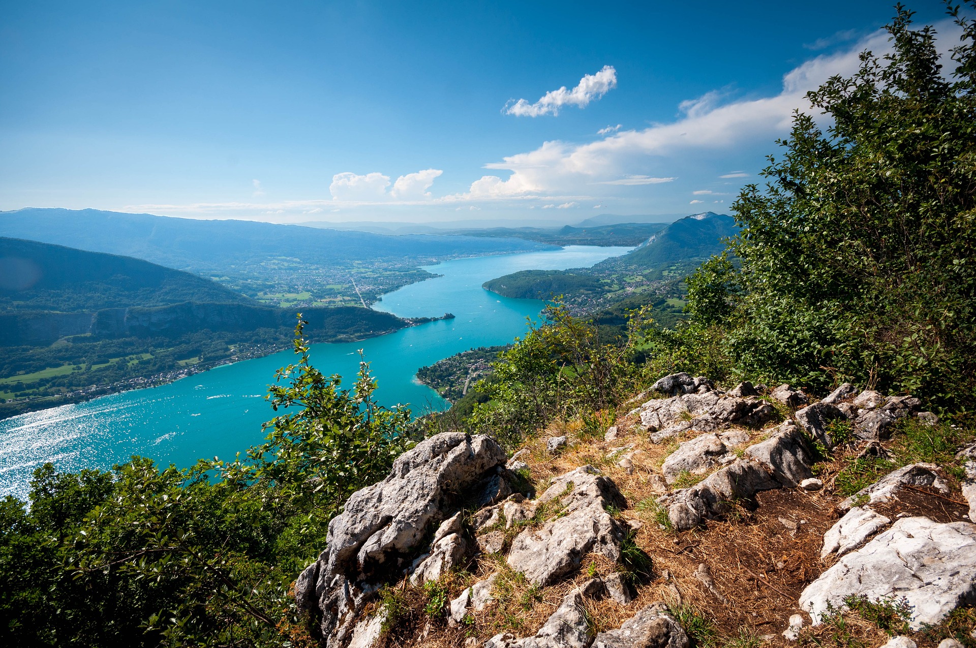 À la Découverte de la Faune et de la Flore autour du Lac d'Annecy