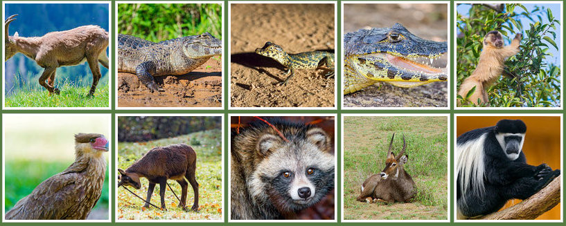 galerie photo emmanuel keller