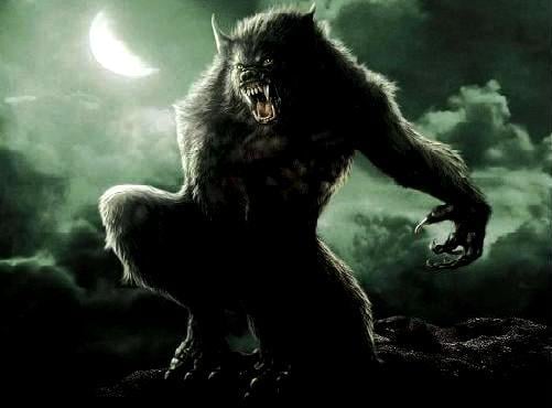 liste des animaux fantastiques et conte de fee animaux fabuleux etranges loup garou lycanthrope
