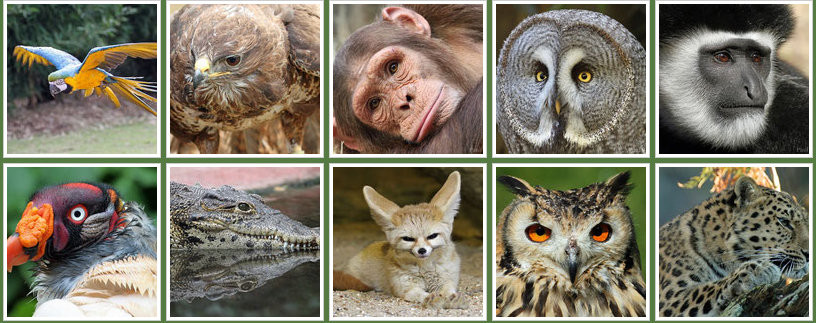 galerie photo paul bugbee