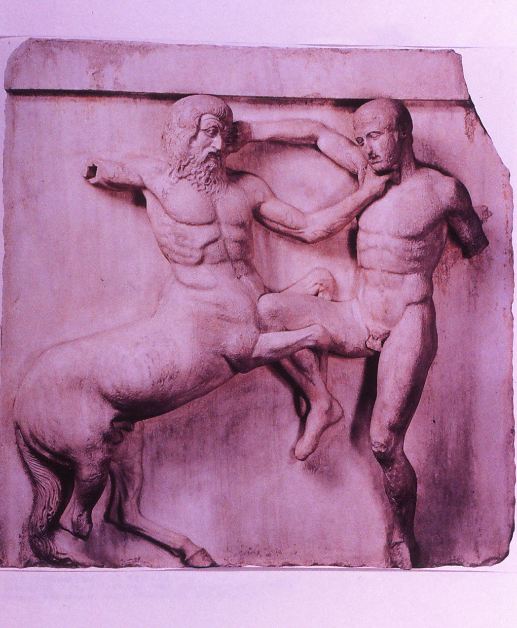 「ラピタイ人とケンタウロスの戦い」