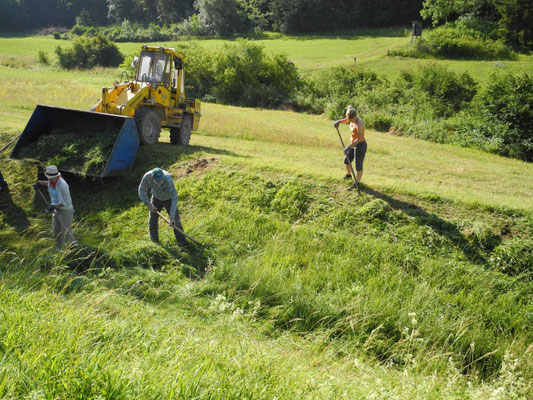 Bei der Pflege. (Foto Sonja Döflel)